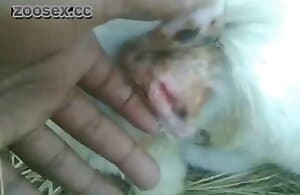 Video thú tính đồng tính nam rất tuyệt vời ở chế độ HD